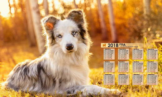1263448 (a): :2048x1225
